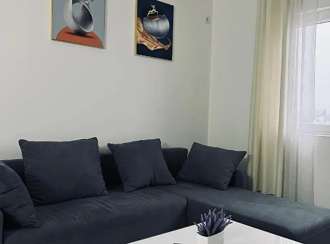 馨之家-华人公寓民宿 三室一厅 *